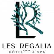 Stage Commis de Salle